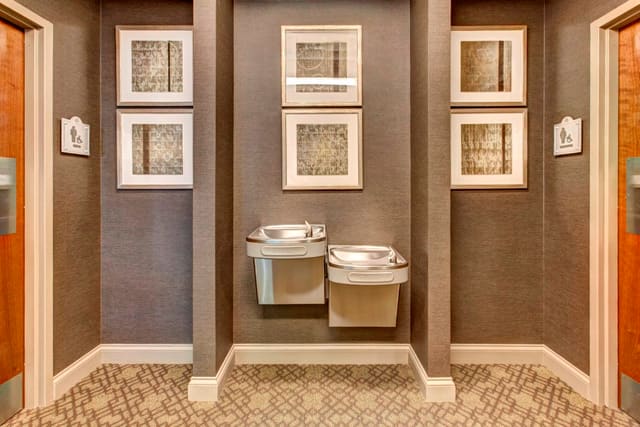Artwork on wallpaper outside bathrooms at Paragon Bank