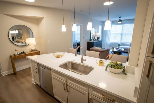 Kitchen Overlooking Living Area