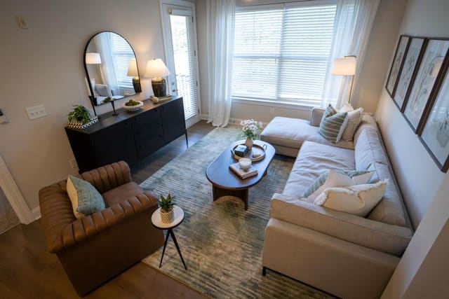 Living Room Birds Eye view